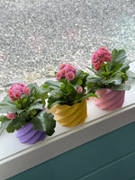 Last inn bildet i Galleri-visningsprogrammet, PureDesigns WAVY Blomsterpotte