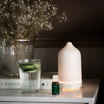 Last inn bildet i Galleri-visningsprogrammet, Økologisk Eterisk Oljeblanding | Christmas Blend