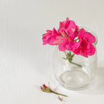 Last inn bildet i Galleri-visningsprogrammet, Økologisk Eterisk Olje | Geranium