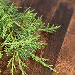 Last inn bildet i Galleri-visningsprogrammet, Økologisk Eterisk Olje | Spruce