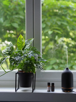 Last inn bildet i Galleri-visningsprogrammet, Økologisk Eterisk Olje | Spearmint