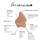 Last inn bildet i Galleri-visningsprogrammet, Lift Gua Sha
