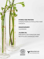 Last inn bildet i Galleri-visningsprogrammet, Økologisk Shampoo | Active Botanical
